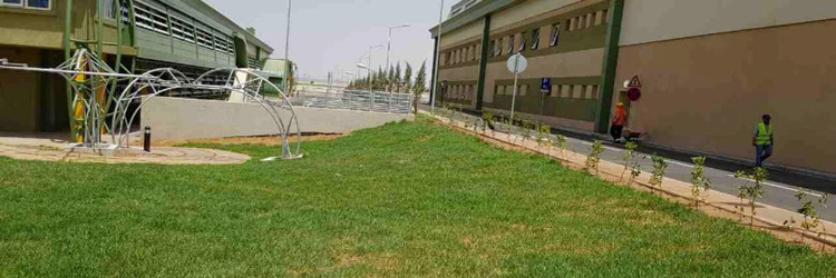 Landscaping & Environmental Works – Sidi Bel Abbès Tramway Line, Algeria